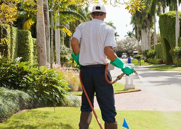 About Lothair MT Pest Control